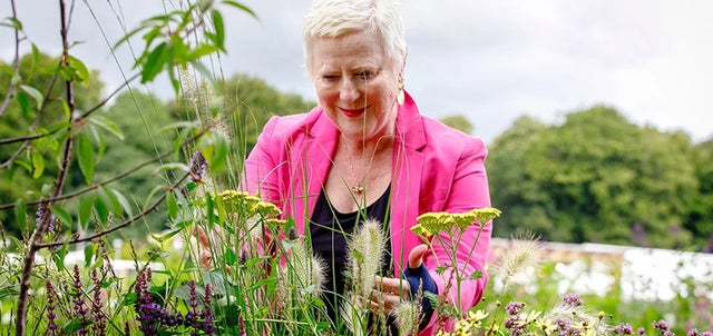 How to garden with sight loss