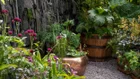 Thumbnail for slide 3