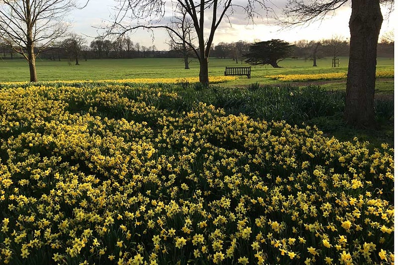 Beningbrough, North Yorkshire