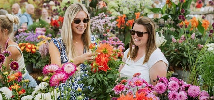 Plan your visit to the the show