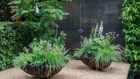 Thumbnail for slide 1
