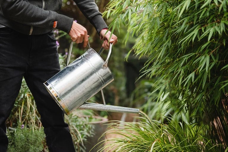 Managing water in your garden