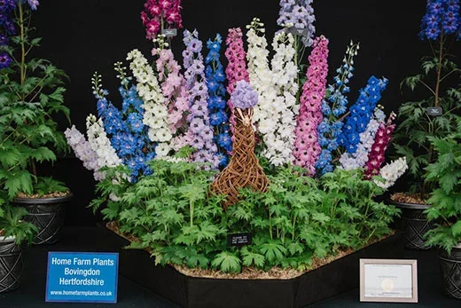 Home Farm Plants