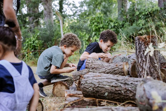 10 allotment activities for children