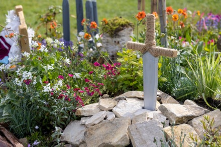 A sword in a garden