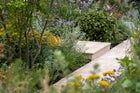 Thumbnail: The Thomas Gainsborough Garden